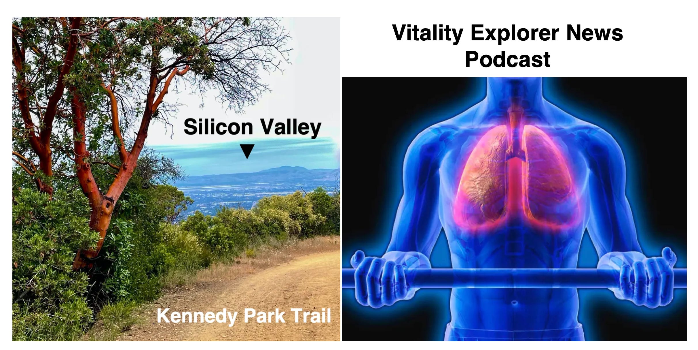 Nature Walks Reduce Stress, Weight Lifting for Your Lungs & Pinpointing Your PEAK Purpose | VEN Podcast 35 episode artwork
