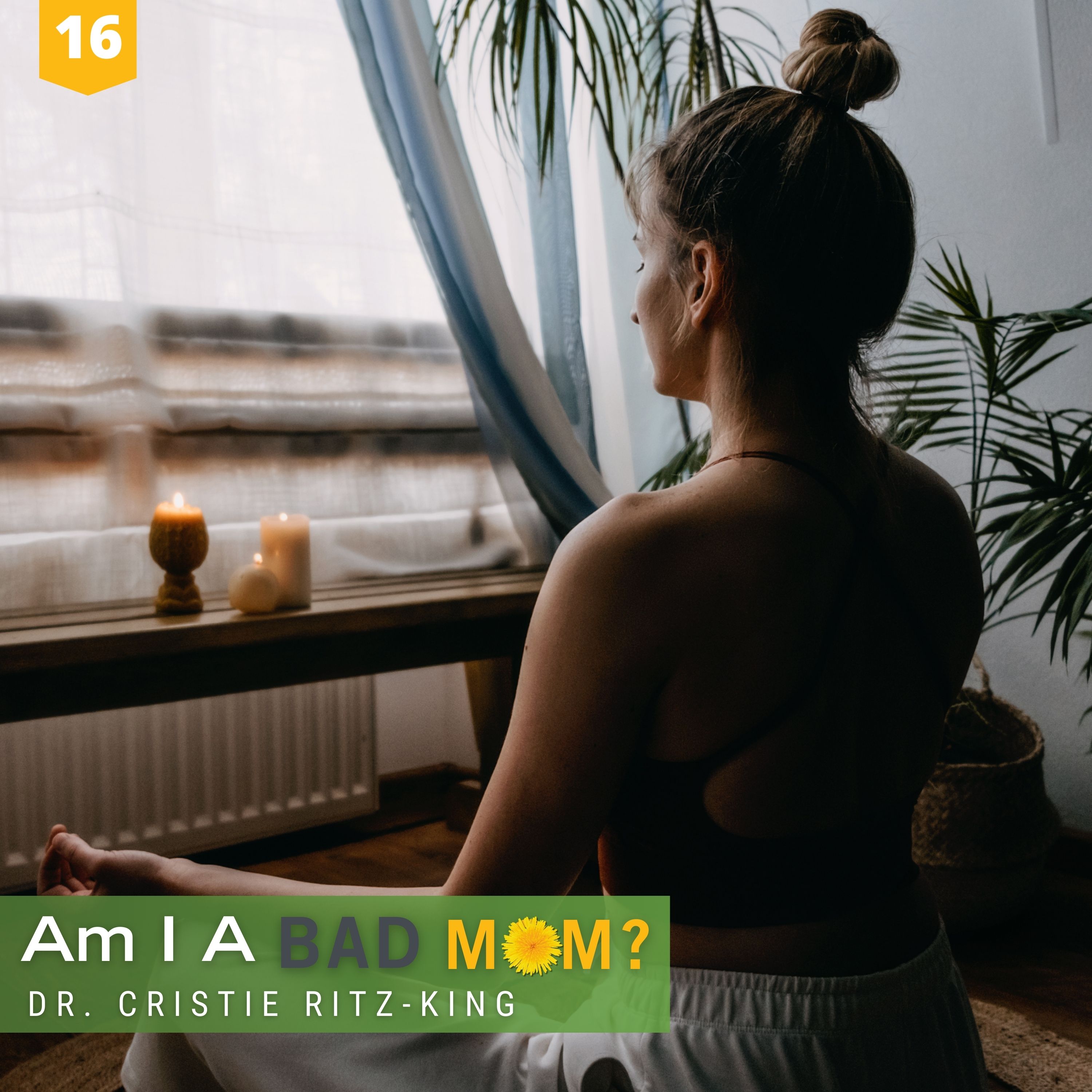 16: Mastering the Three Rs of Self-Care episode artwork
