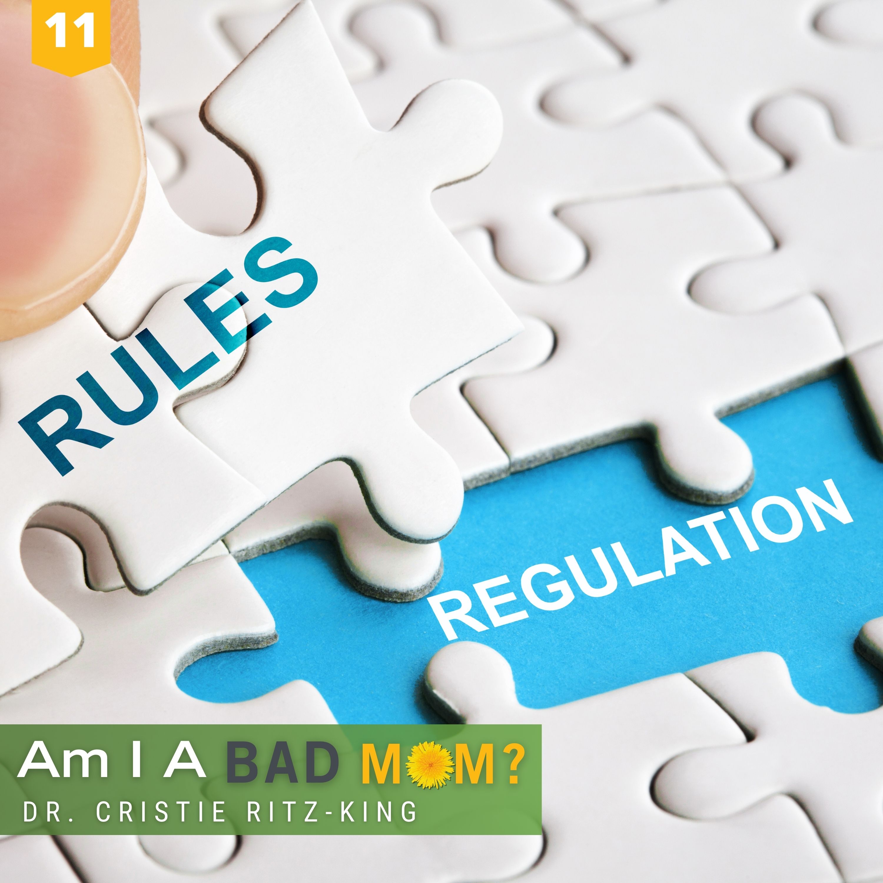11: Coregulation alongside Jessica Addeo