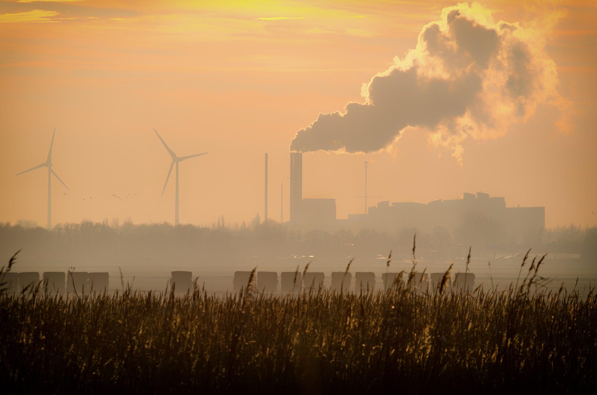 Audio edition: Burning wood and trash as 'clean' energy? Minnesota says yes - critics push back episode artwork