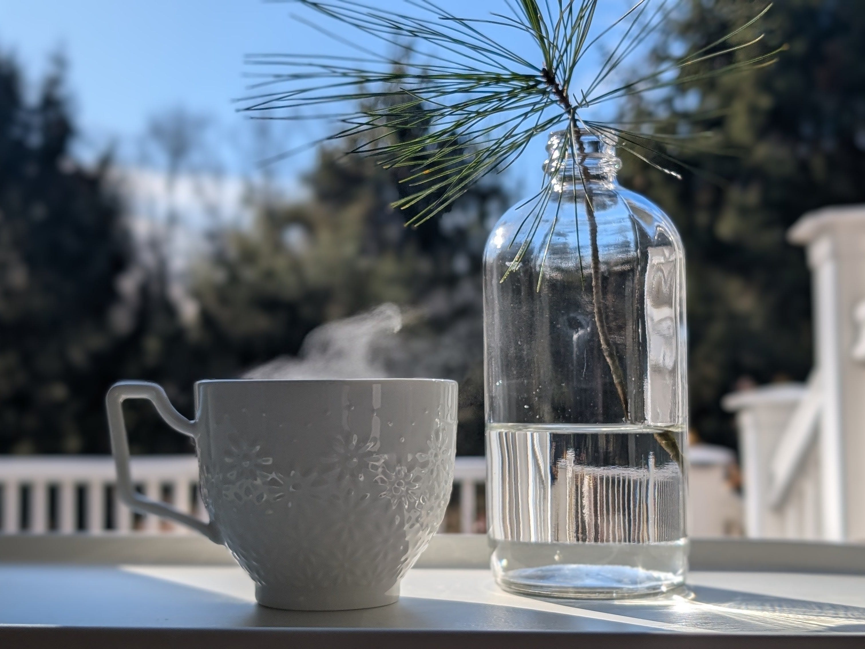 Episode 10 | The Hidden Link Between Decluttering & Rewilding  episode artwork