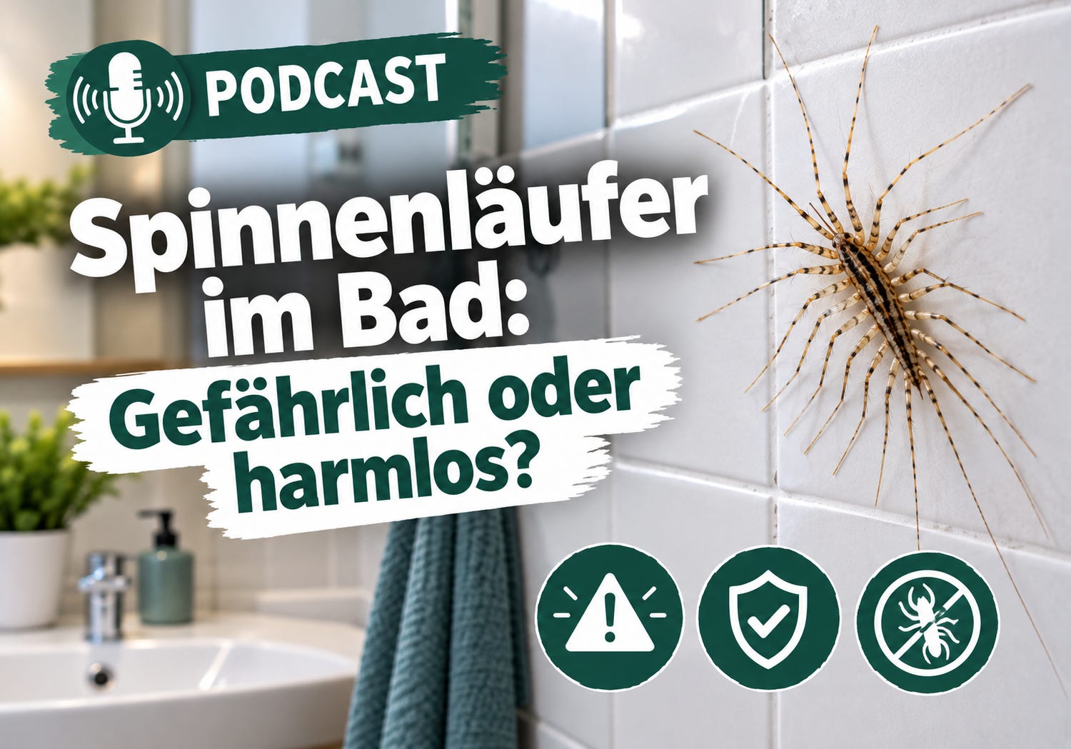 Biss-Panik im Bad: Wie gefährlich ist der Spinnenläufer wirklich? episode artwork