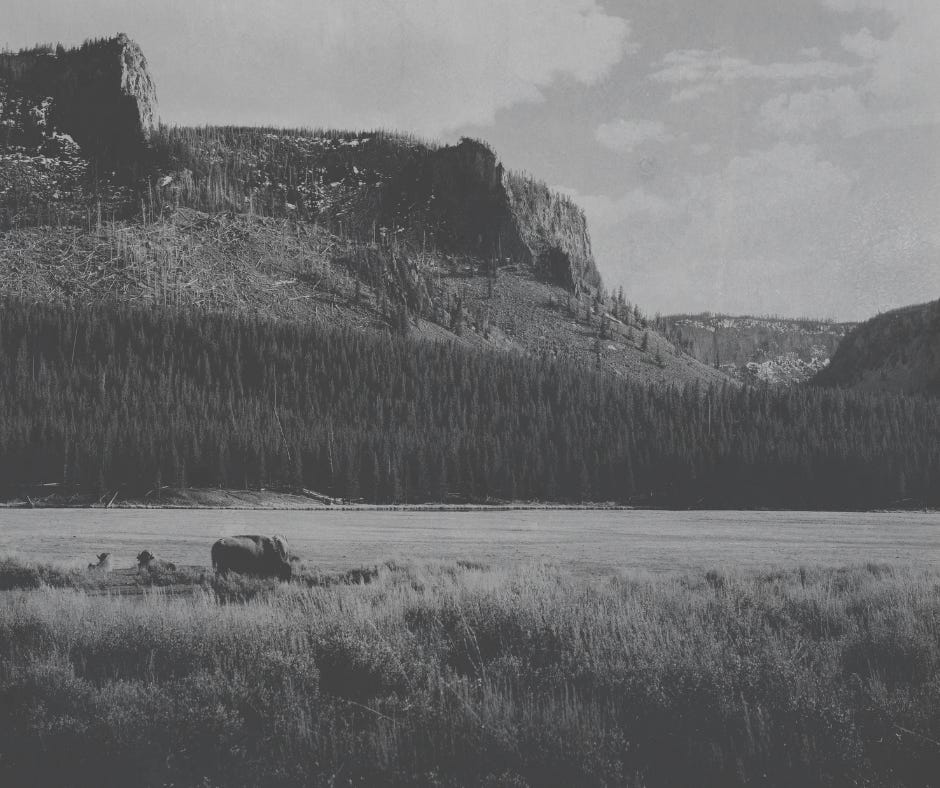 Episode #41: The Heritage Lewis and Clark Left Us episode artwork