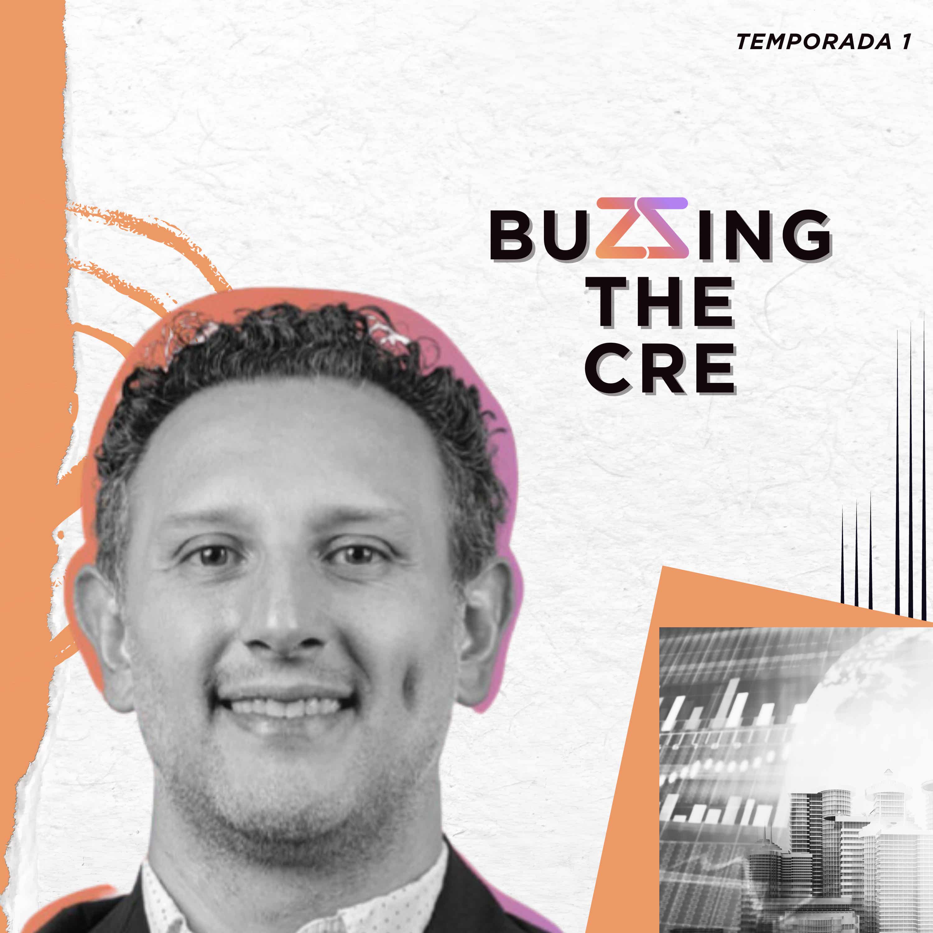 Buzzing The CRE cover