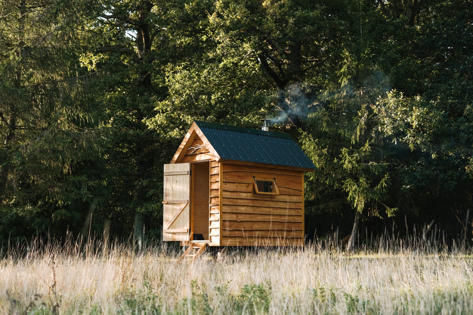 Lessons from the Woods - Good and Bad