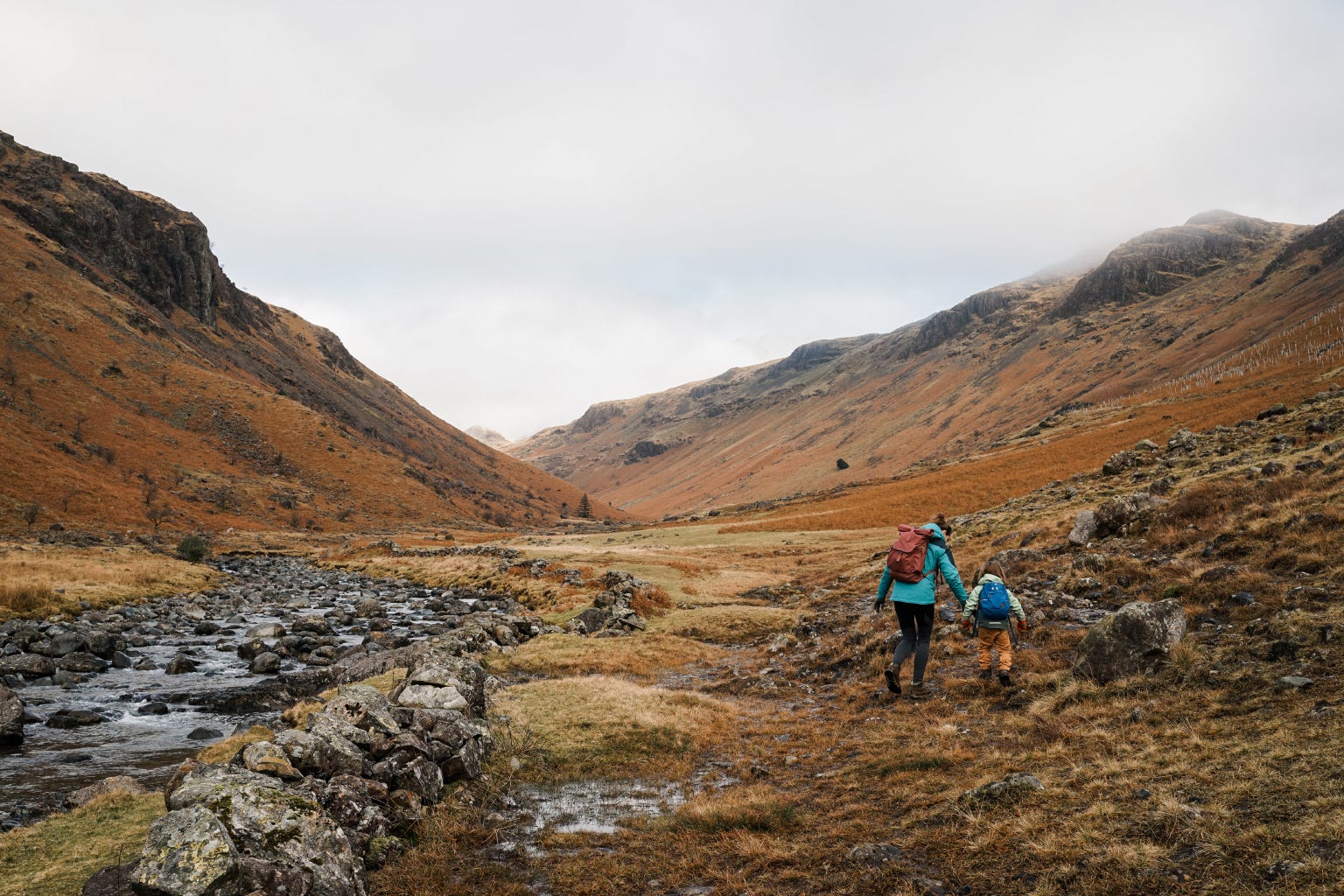 Lessons from the Woods - One Year On