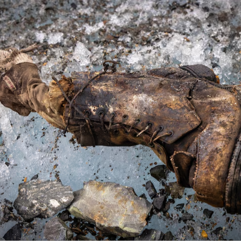 WanderLearn: Travel to Transform Your Mind & Life