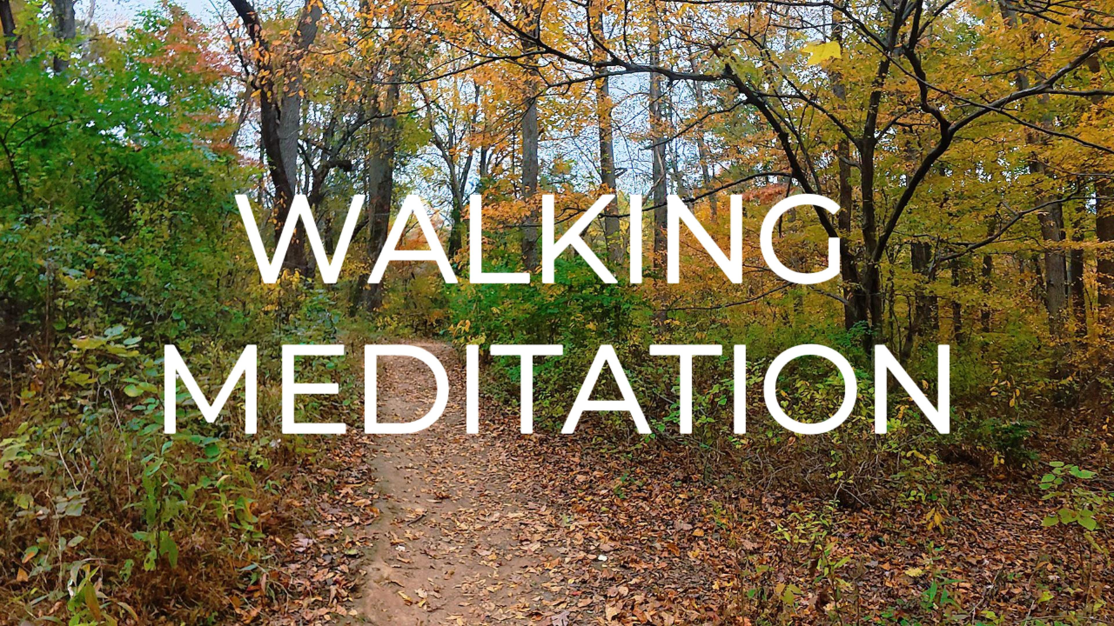 Mindfulness with Melba 🪷