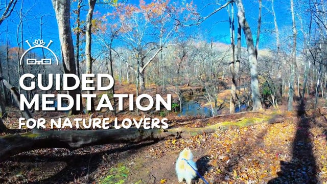 3 - How Can You Be More Like a Tree episode artwork