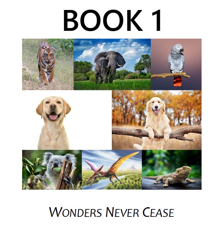 SOME RAMBLING NOTES FROM A 21st CENTURY GEEZER Podcast