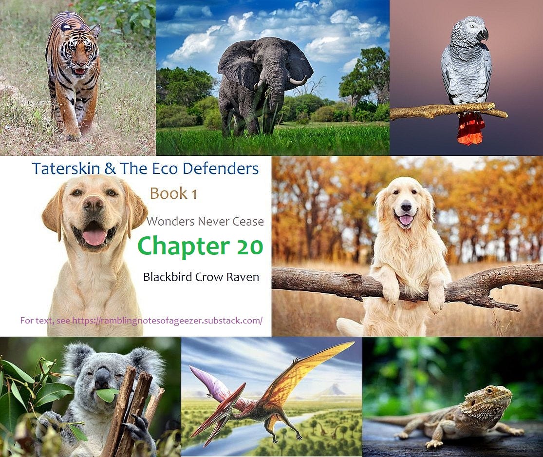 SOME RAMBLING NOTES FROM A 21st CENTURY GEEZER Podcast