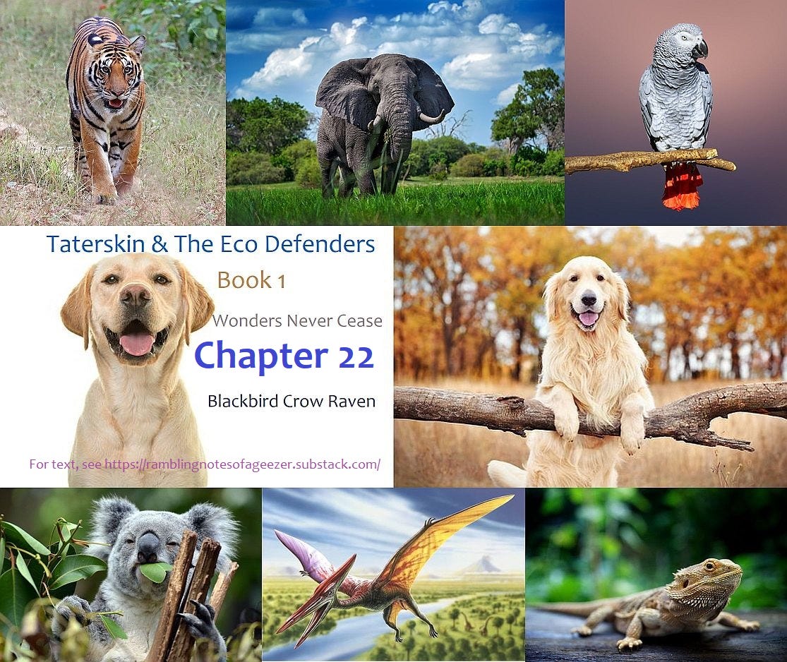 SOME RAMBLING NOTES FROM A 21st CENTURY GEEZER Podcast