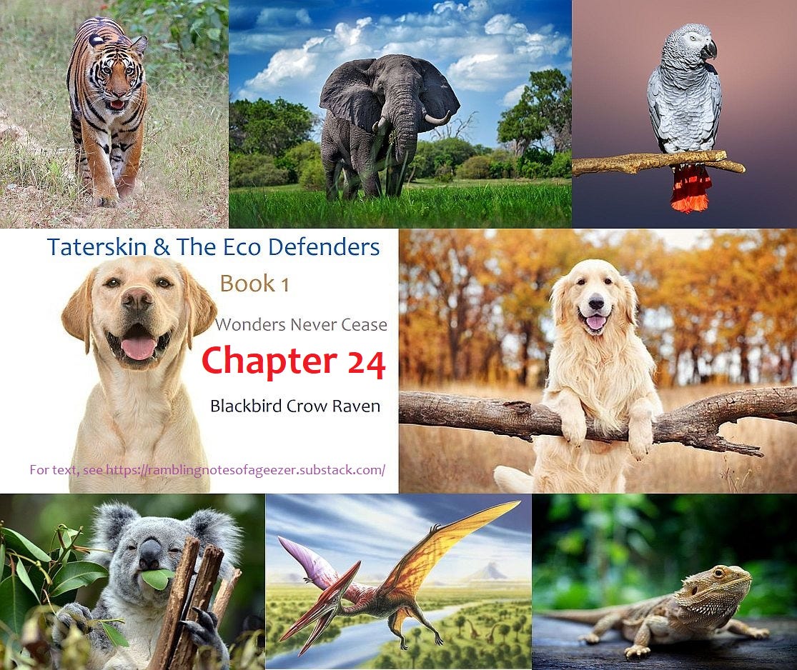 SOME RAMBLING NOTES FROM A 21st CENTURY GEEZER Podcast