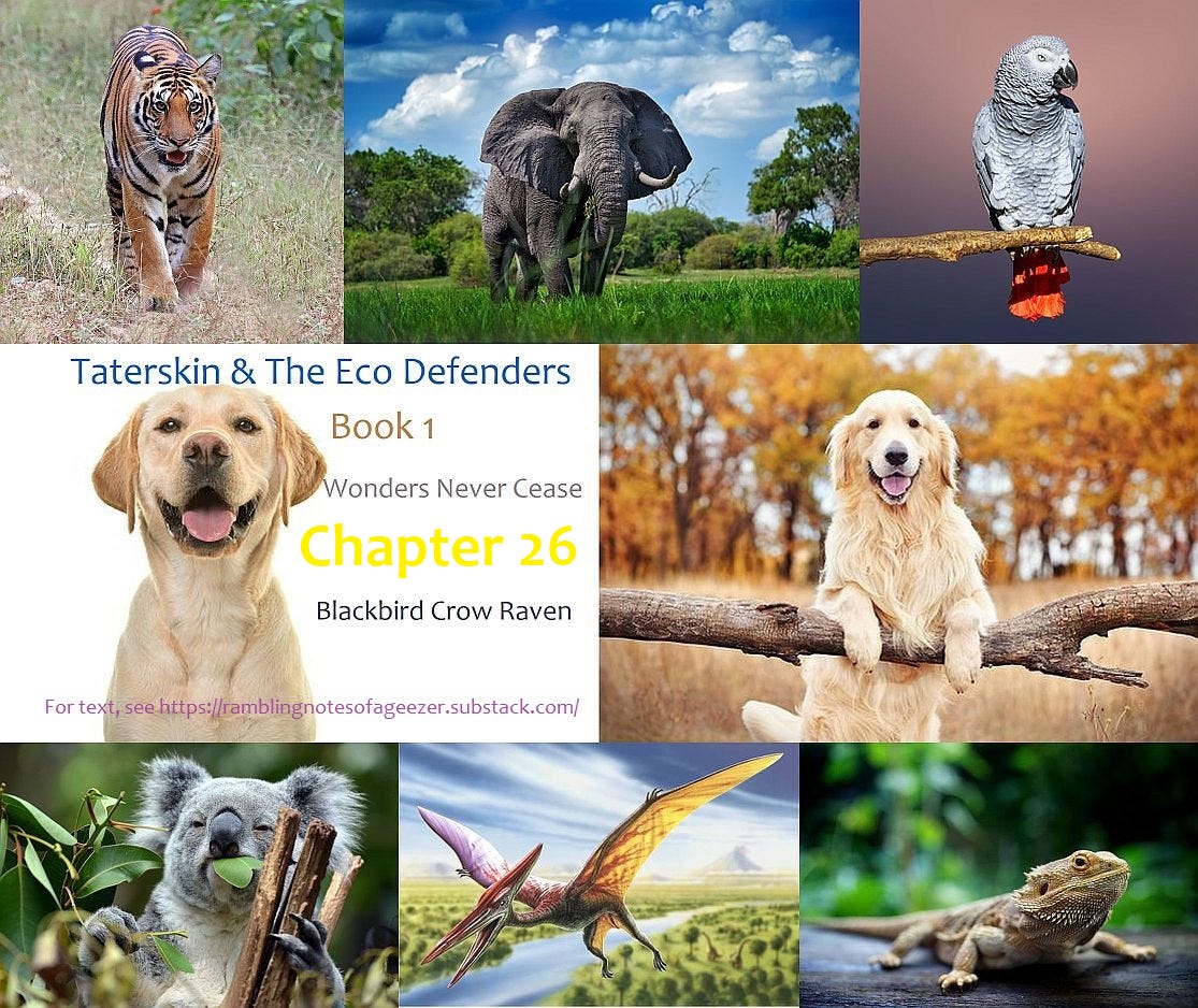 SOME RAMBLING NOTES FROM A 21st CENTURY GEEZER Podcast