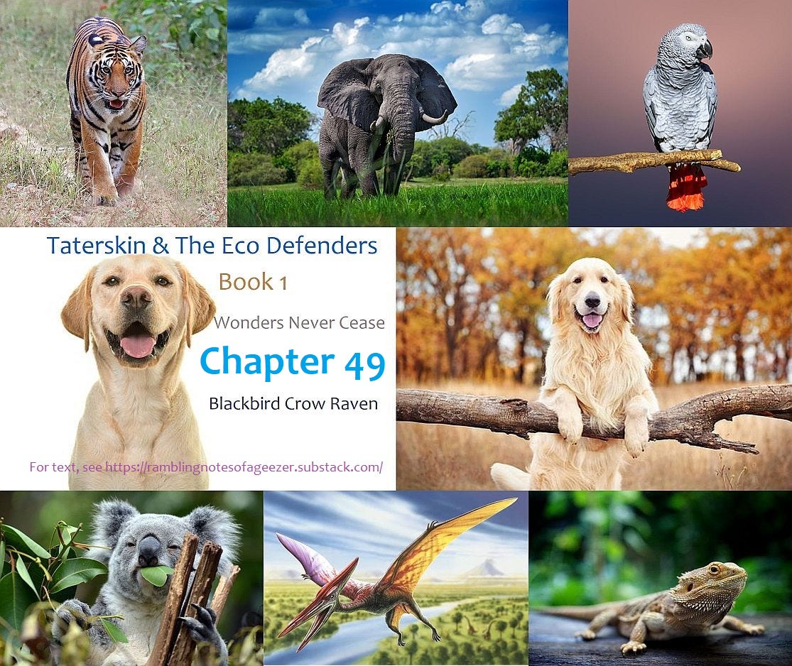 SOME RAMBLING NOTES FROM A 21st CENTURY GEEZER Podcast