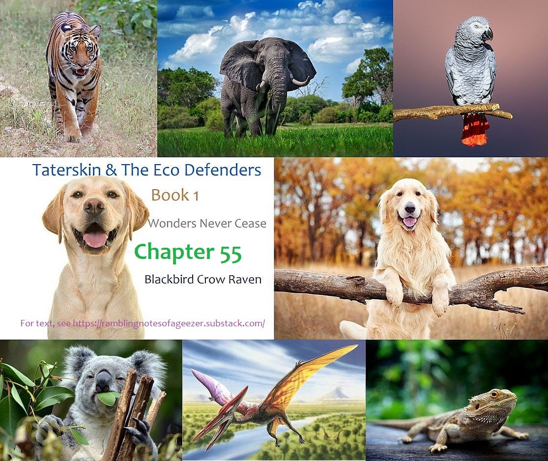 SOME RAMBLING NOTES FROM A 21st CENTURY GEEZER Podcast