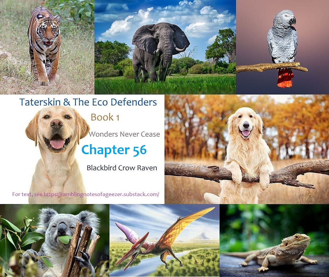 SOME RAMBLING NOTES FROM A 21st CENTURY GEEZER Podcast