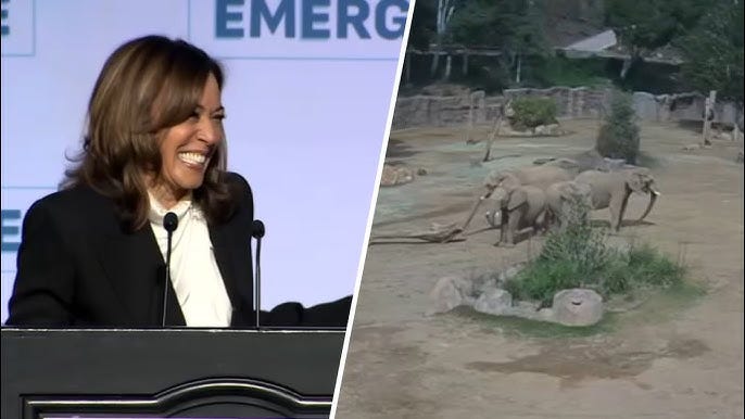 What Kamala Harris Gets Wrong About Elephants