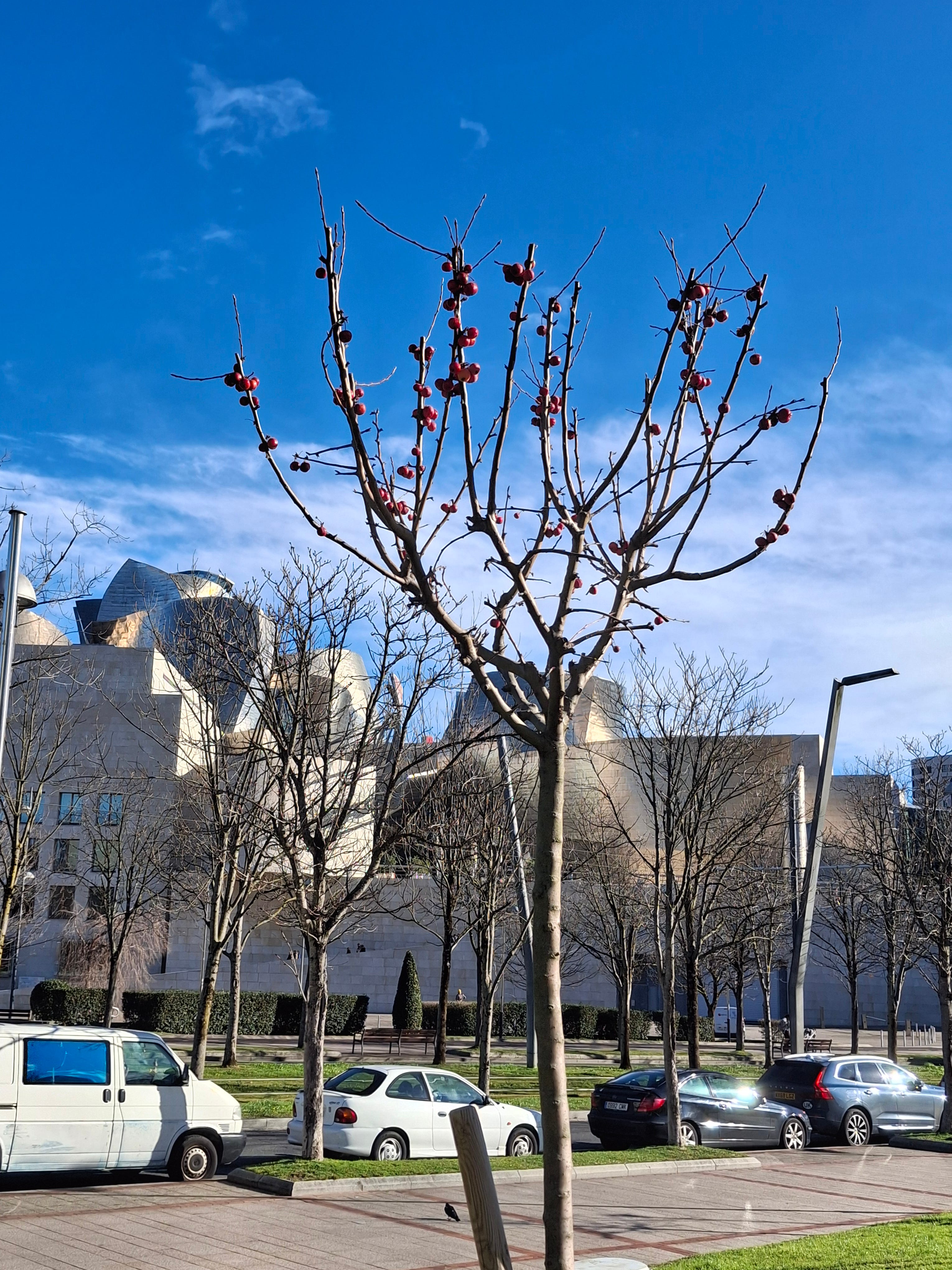 Releasing Stress When Chronic Pain and Trauma Change How I Move