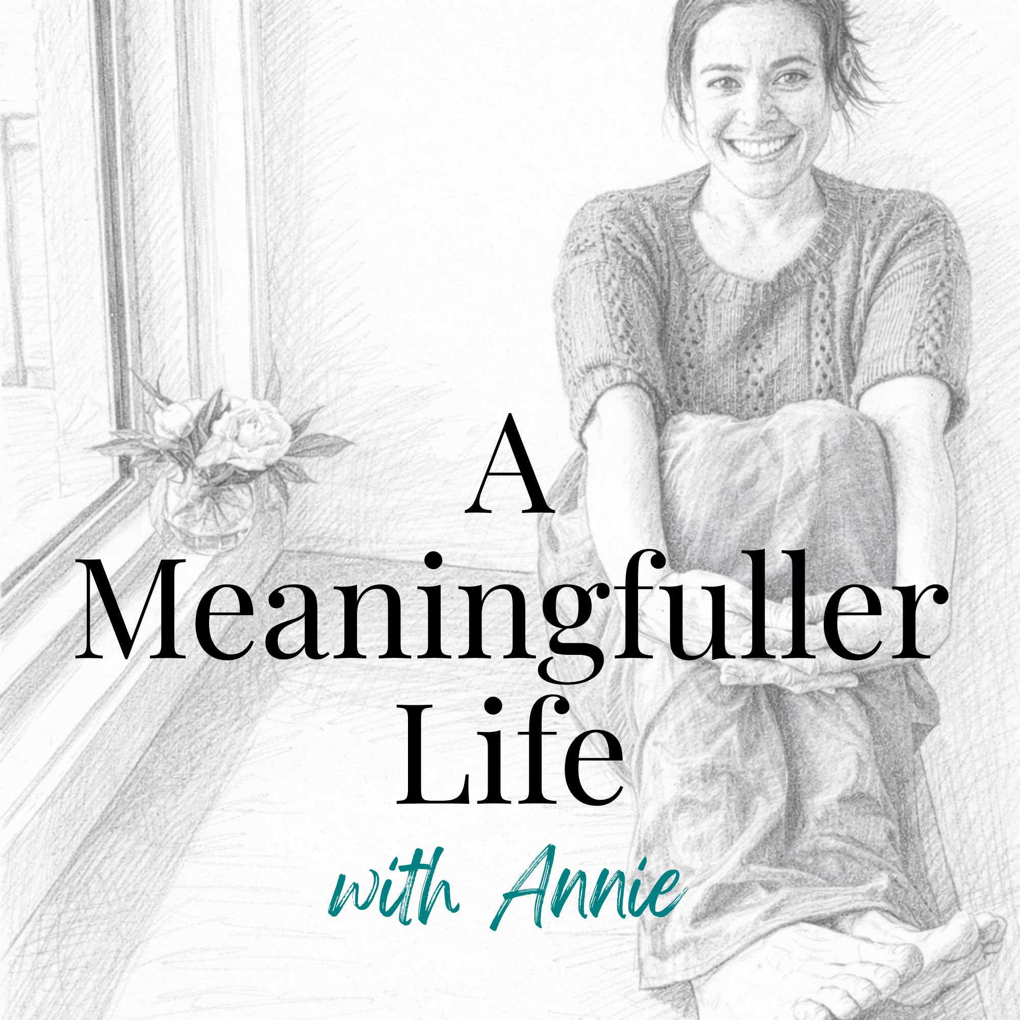 A Meaningfuller Life (The Podcast) podcast artwork
