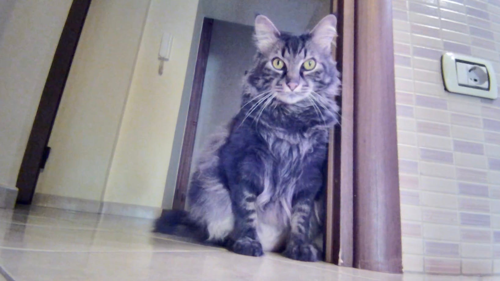 Young & Online Young & Online