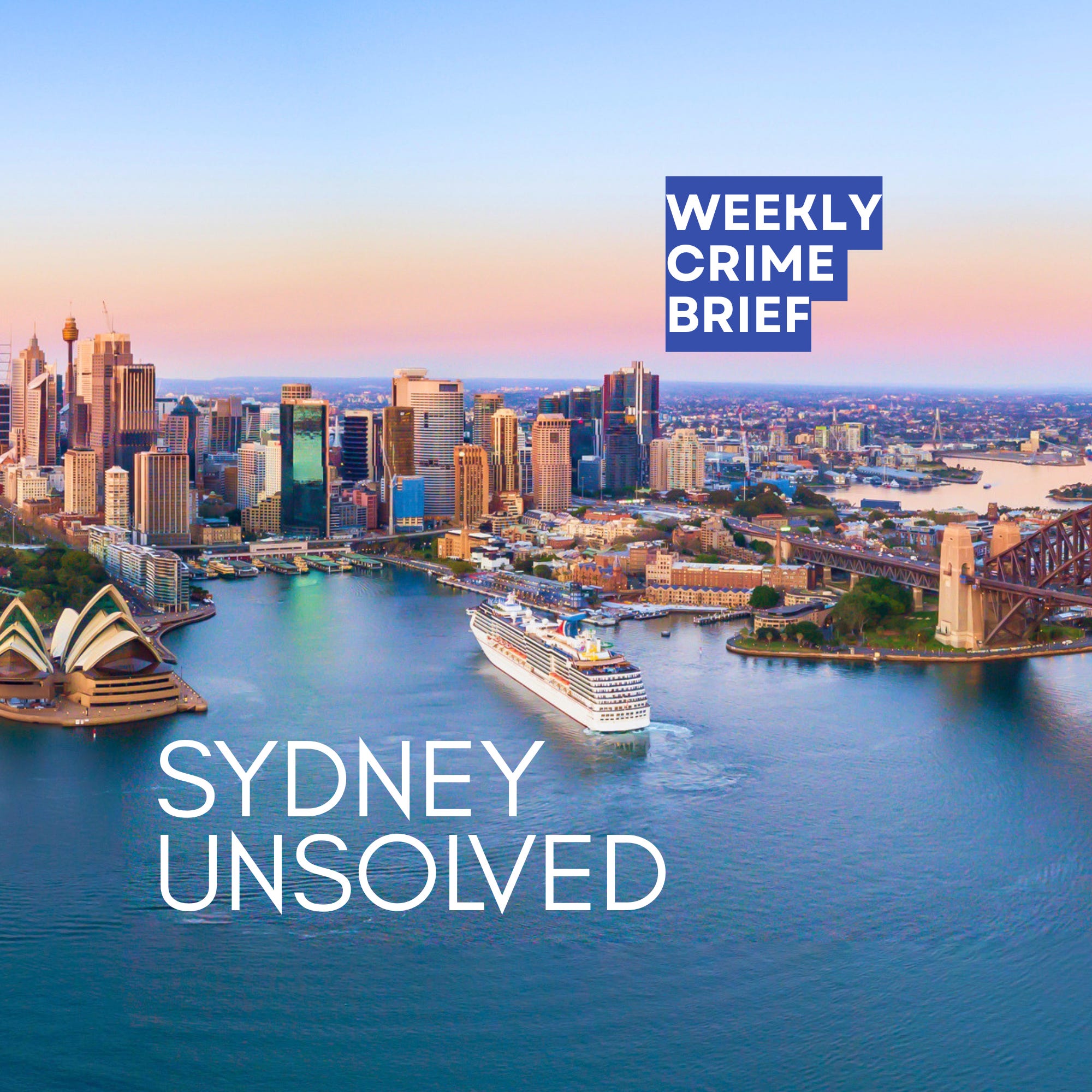 Weekly Crime Brief Podcast - Edition 22 episode artwork