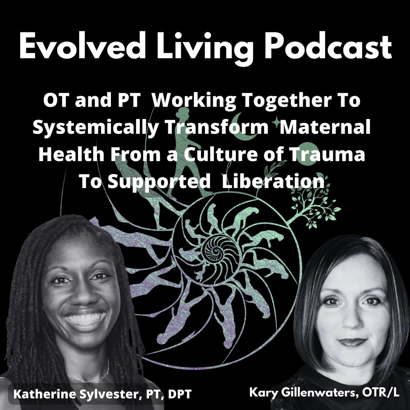 OT and PT Working Together To Systemically Transform Maternal Health From a Culture of Trauma to Supported Liberation: An Interdisciplinary Call to Action For All at the Individual, Micro, Meso, and Macro Level OT and PT Working Together To Systemically Transform Maternal Health From a Culture of Trauma to Supported Liberation: An Interdisciplinary Call to Action For All at the Individual, Micro, Meso, and Macro Level