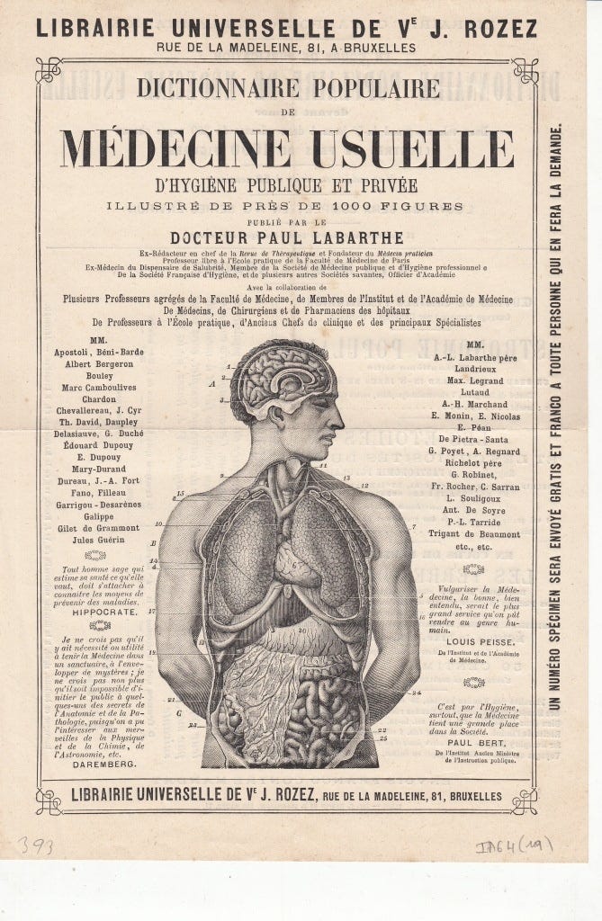 The Shape of Medicine: From interruption to trajectory, and the birth of the longevity physician. episode artwork