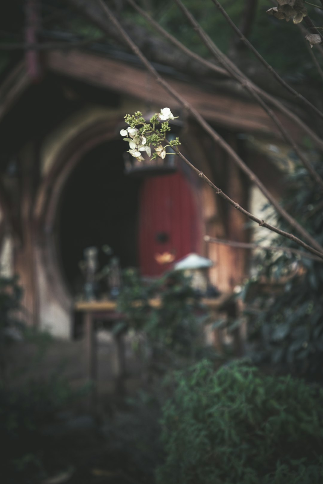 Hope in a Hobbit Hole episode artwork