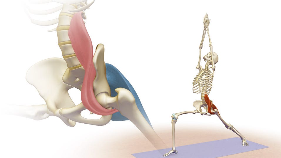 Release the Psoas!