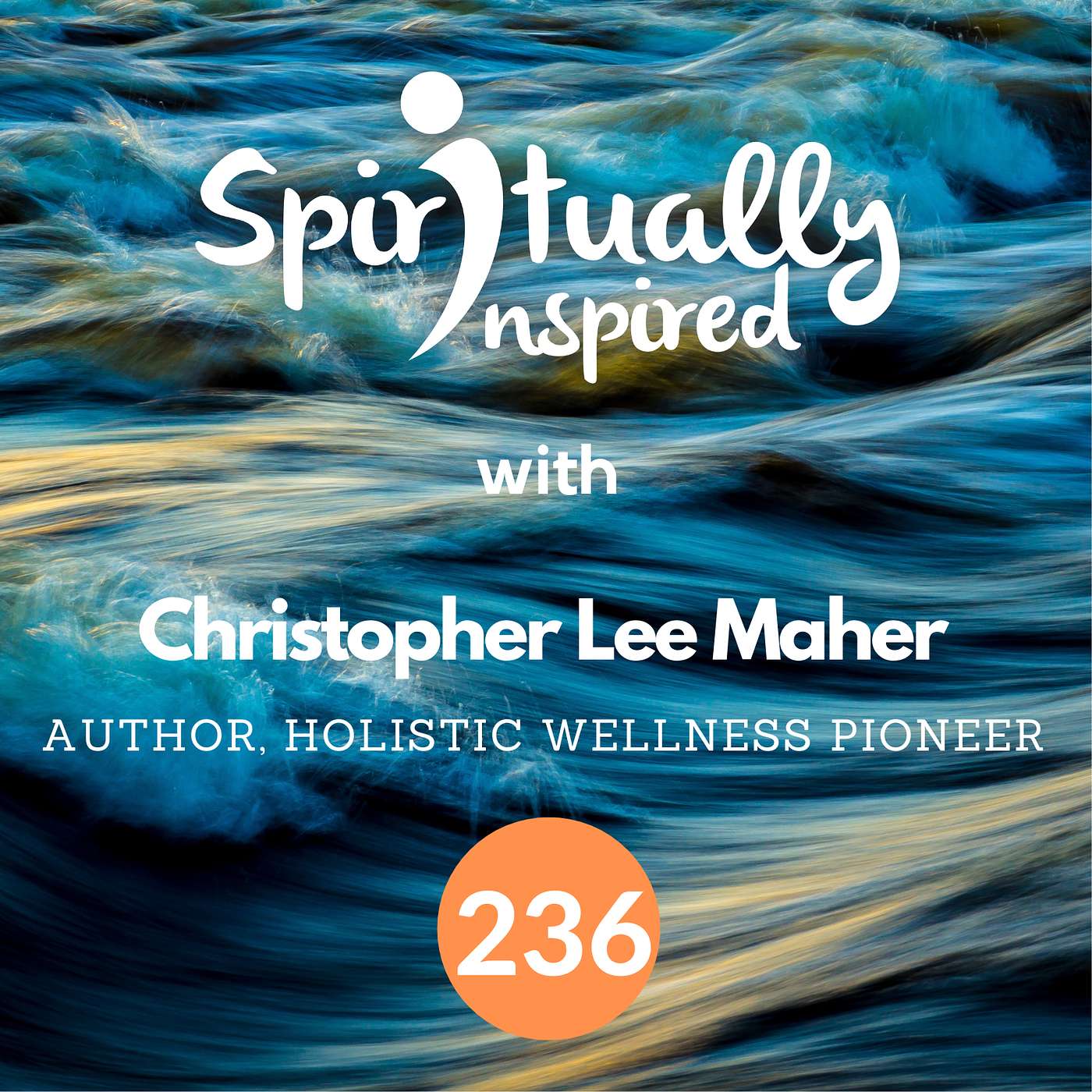 As a SEAL, the mission is the goal - Christopher Lee Maher | Spiritually Inspired #236 As a SEAL, the mission is the goal - Christopher Lee Maher | Spiritually Inspired #236