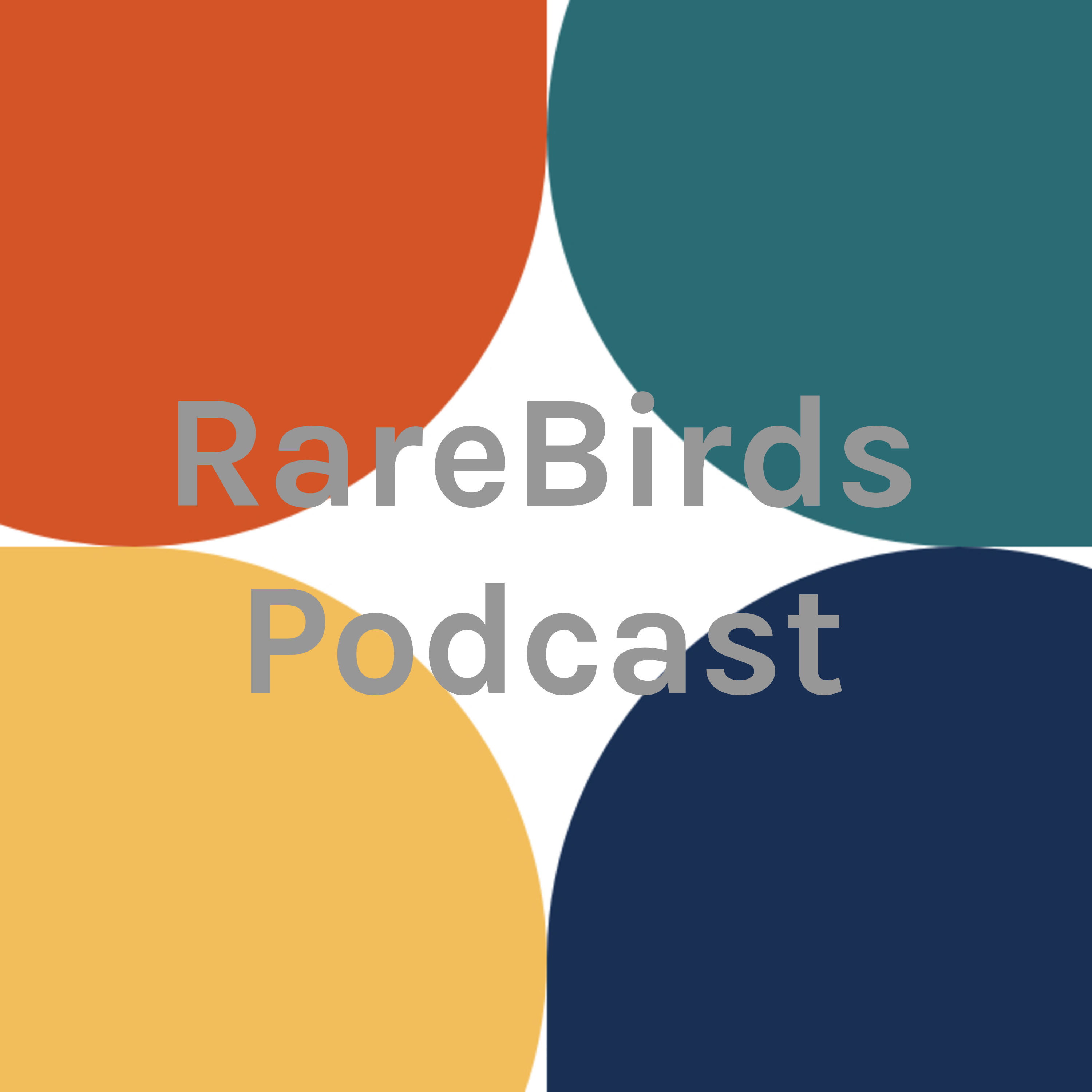 RareBirds Emerging Markets Podcast