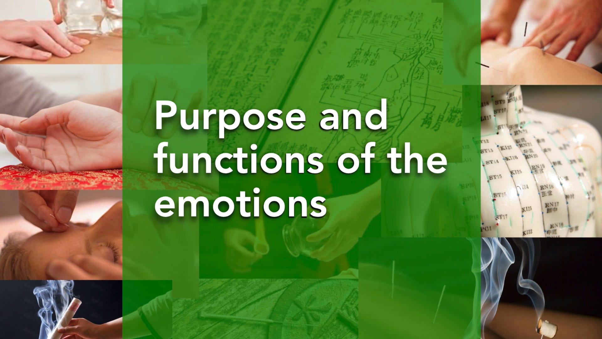 Purpose and functions of the emotions