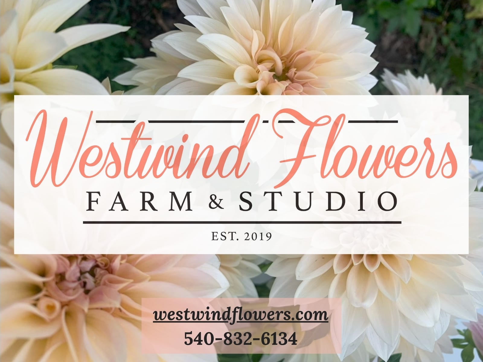 Charlottesville Community Engagement