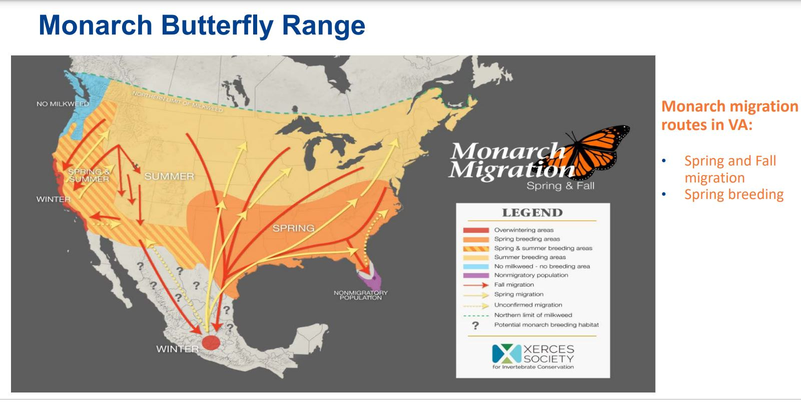 Charlottesville Community Engagement