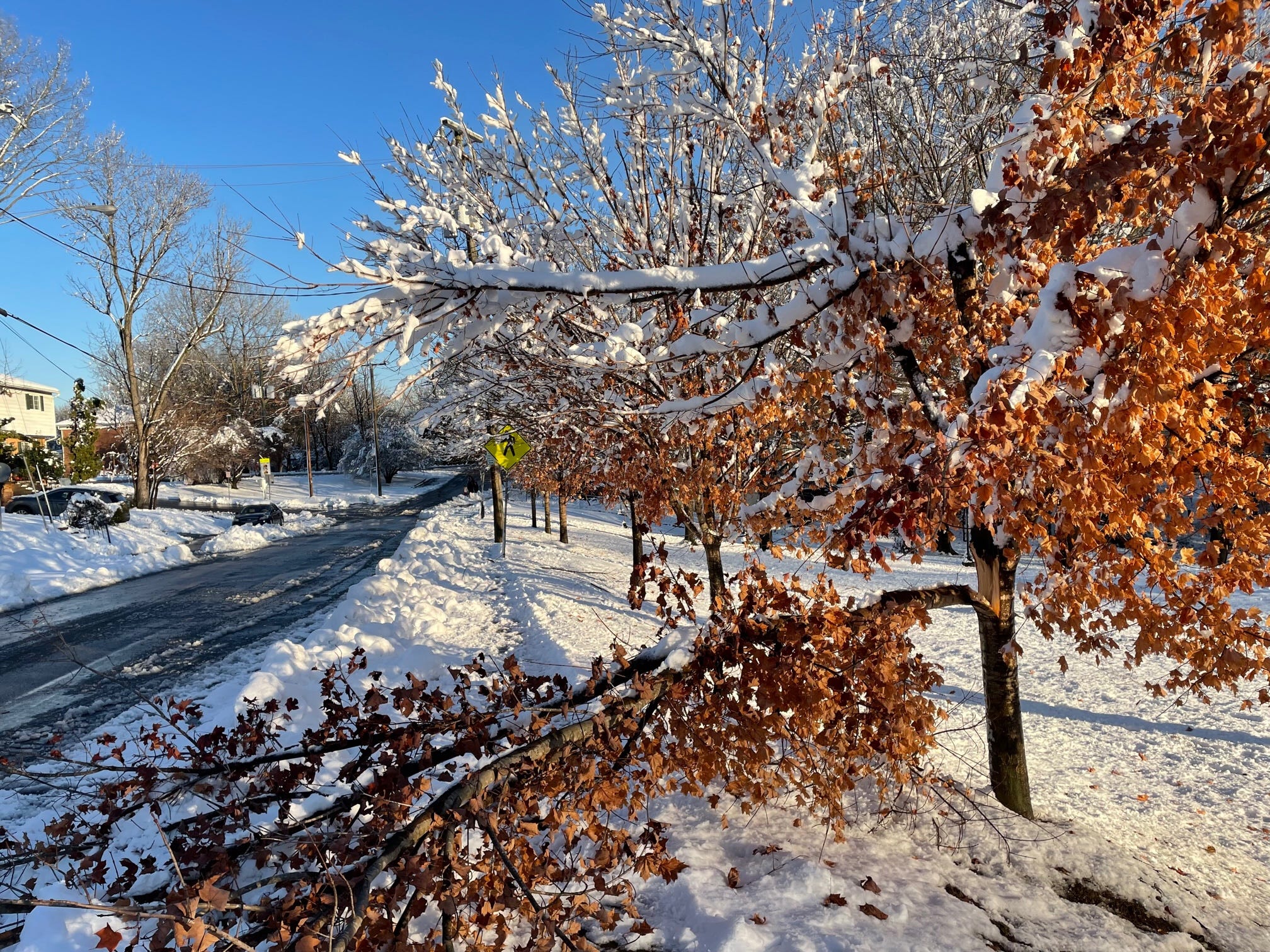 January 4, 2022: Winter storm knocks power out for thousands, strands motorists on I-95; Pfizer booster approved for those aged 12 to 15 episode artwork