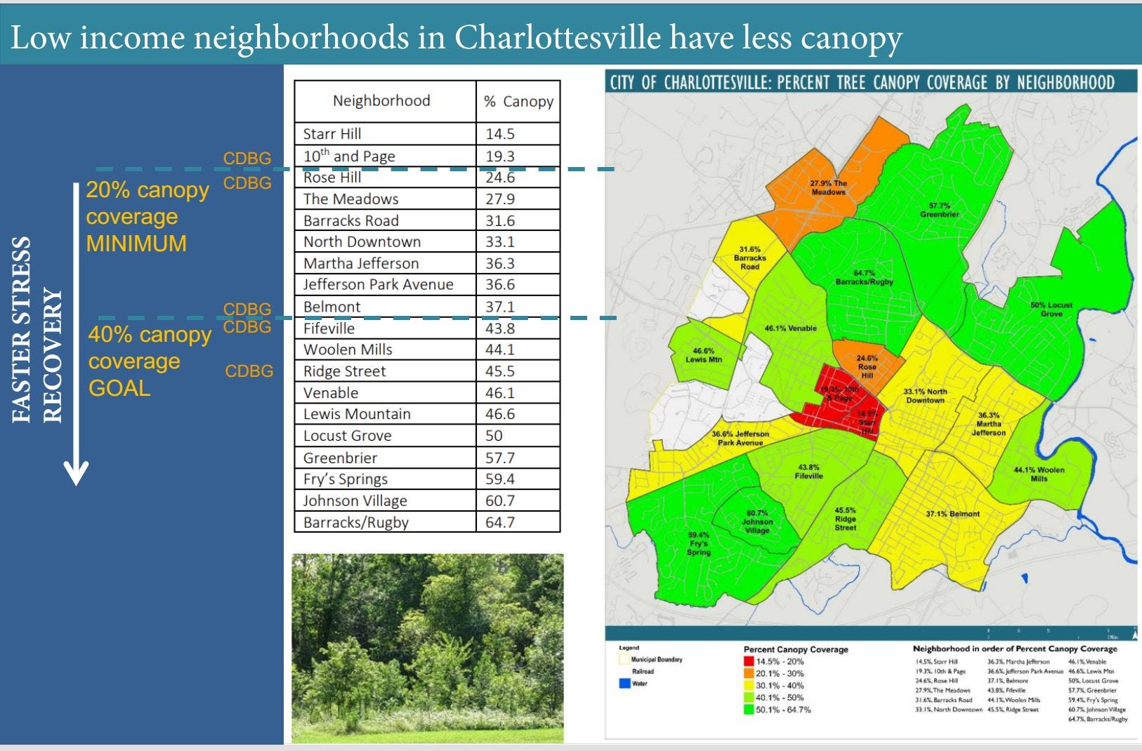 August 27, 2020: Leadership Charlottesville alumni talk school openings; City tree commission makes its case episode artwork