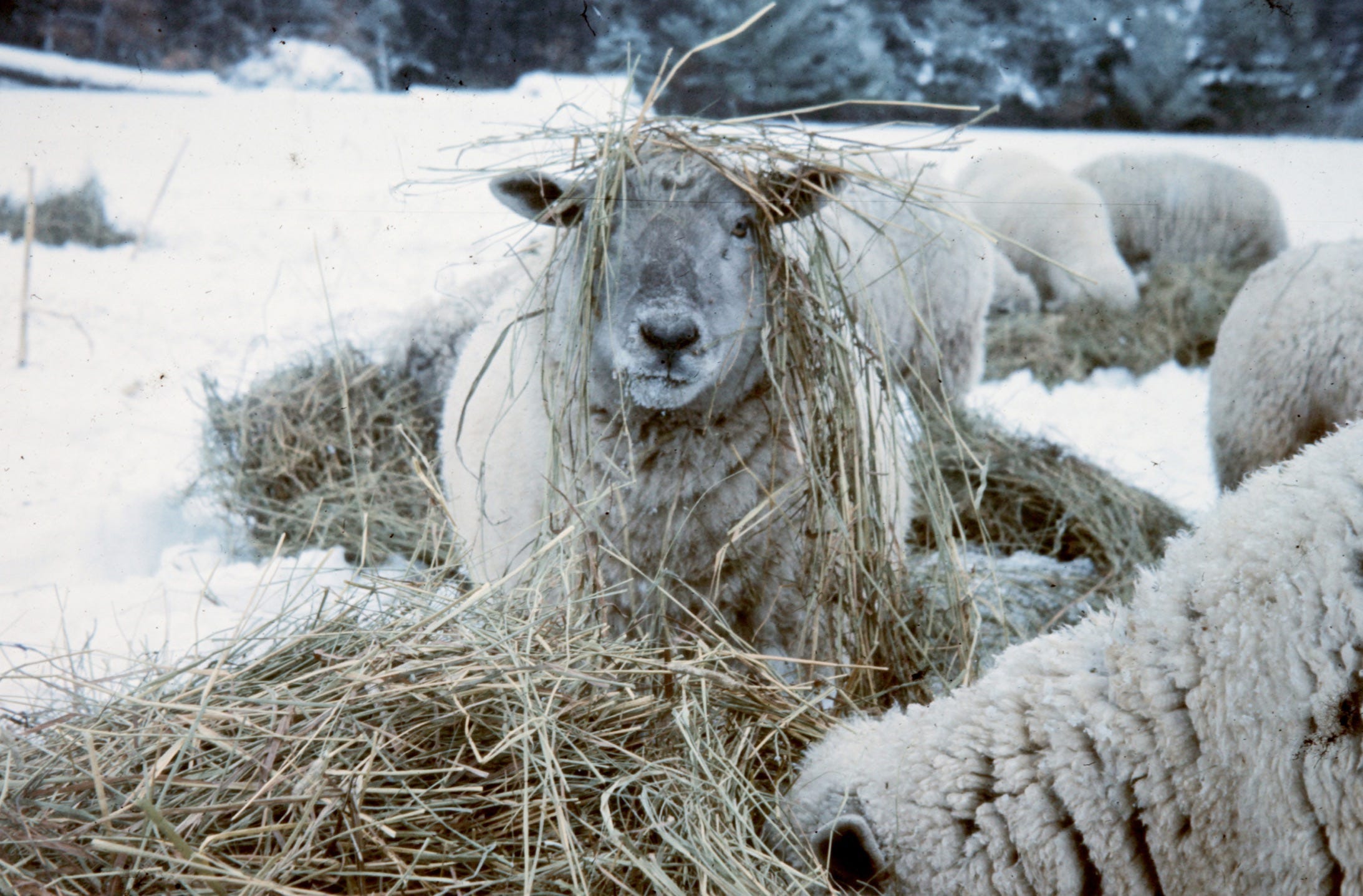 Michael Perry\'s Voice Mail