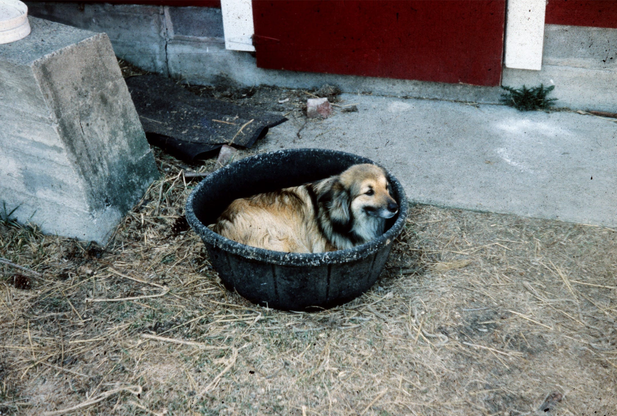 Michael Perry\'s Voice Mail