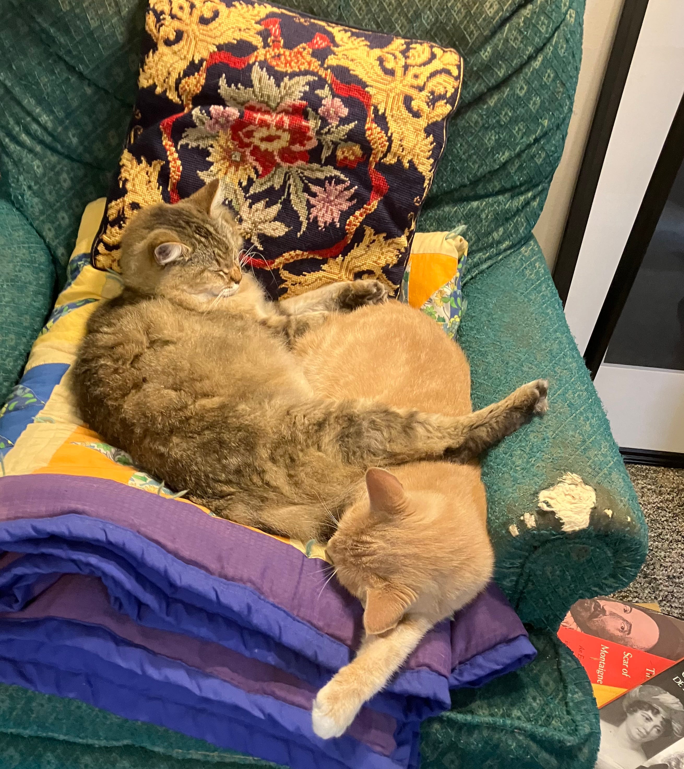 Michael Perry\'s Voice Mail