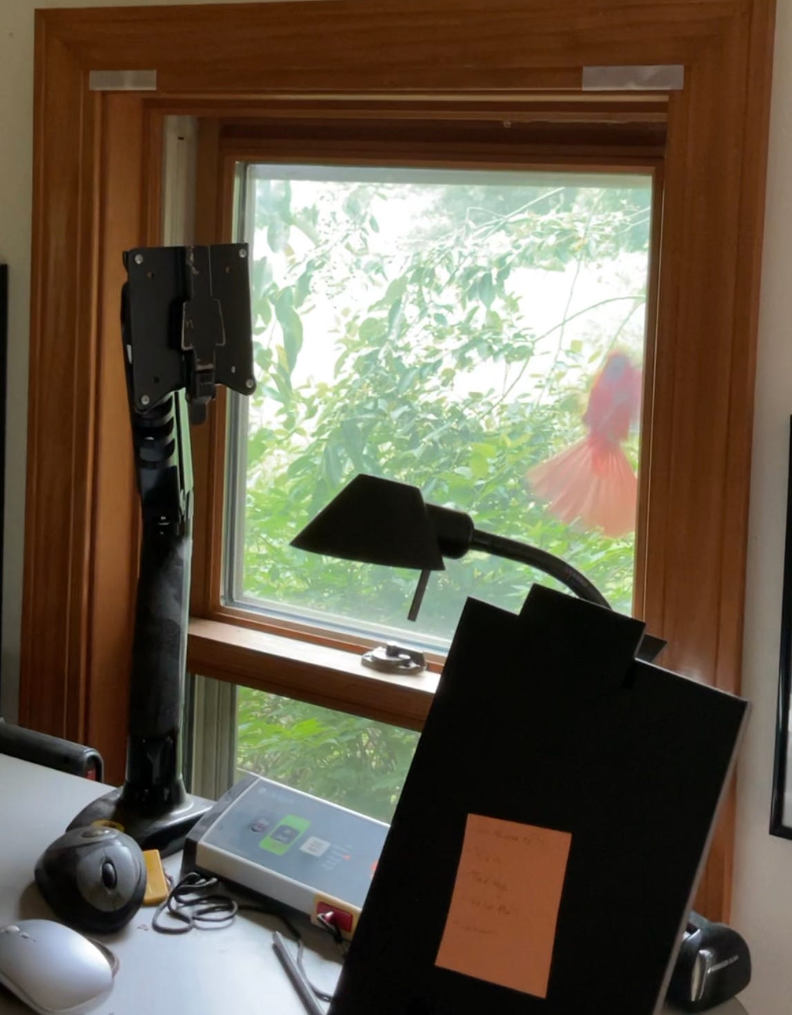 Michael Perry\'s Voice Mail