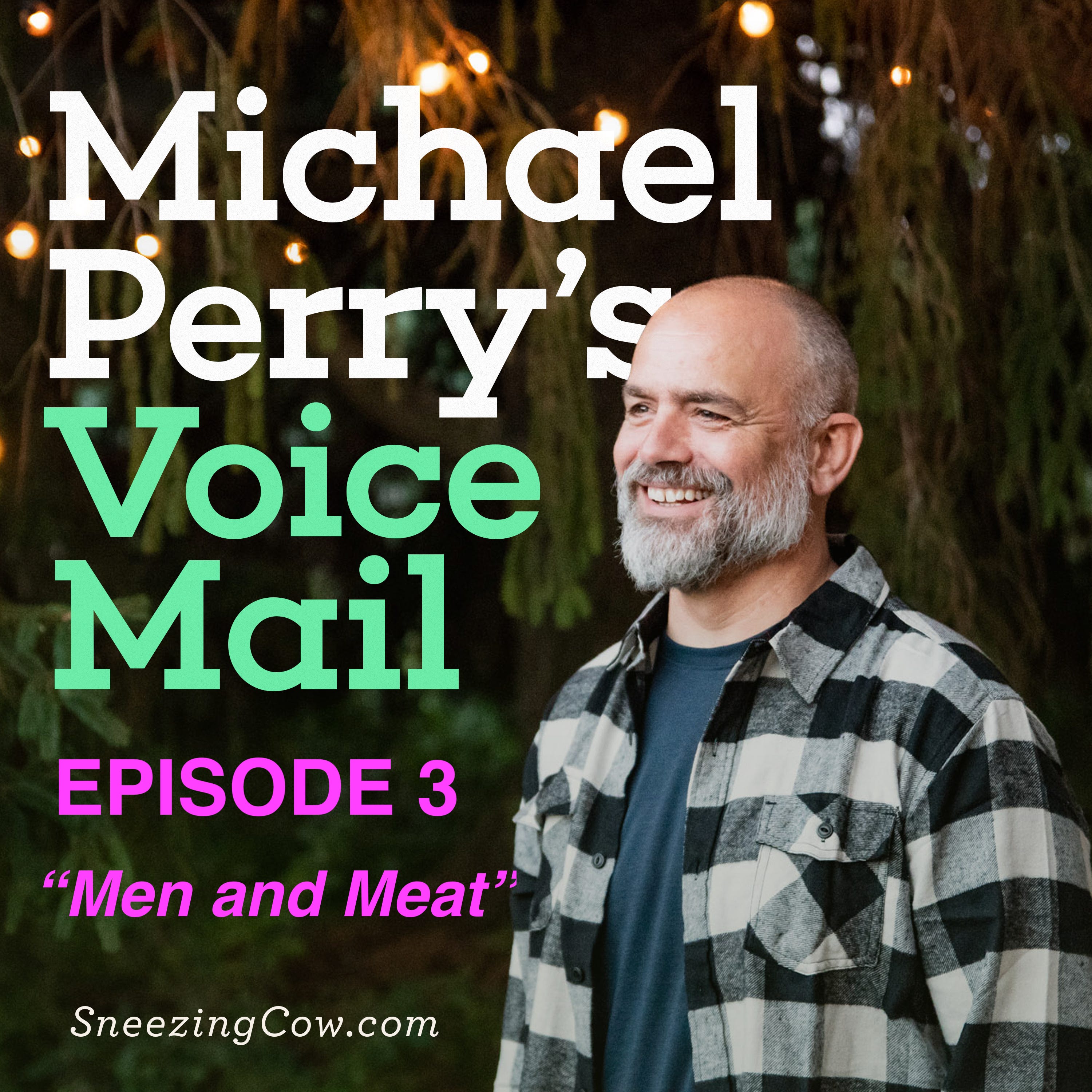Michael Perry\'s Voice Mail