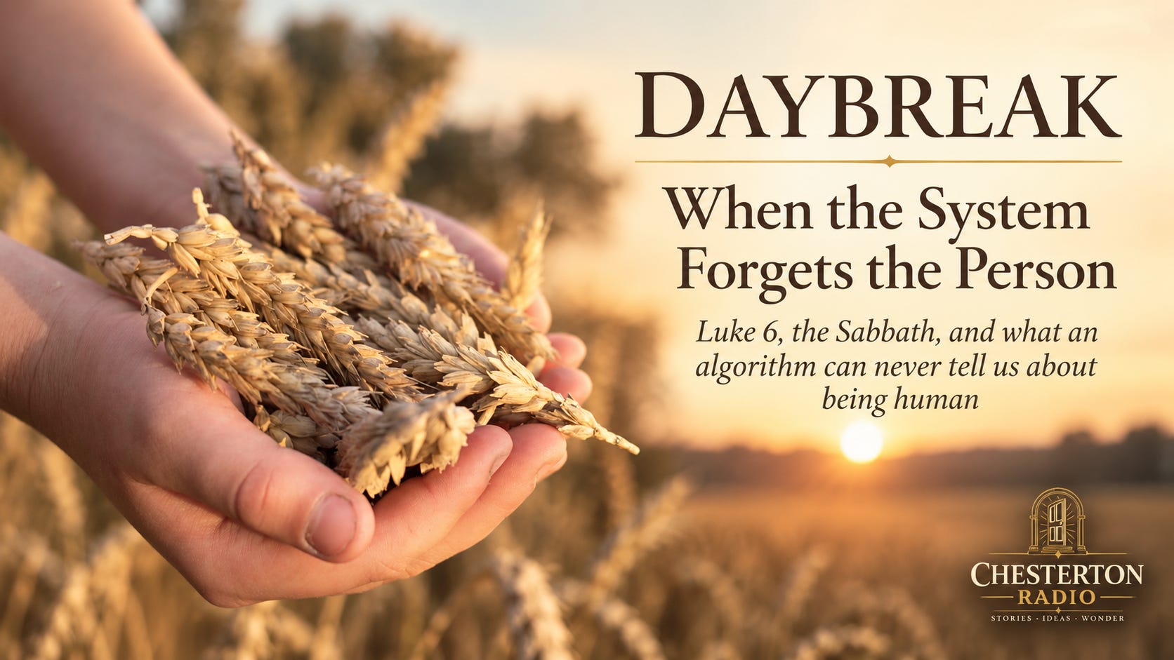 Daybreak — When the System Forgets the Person