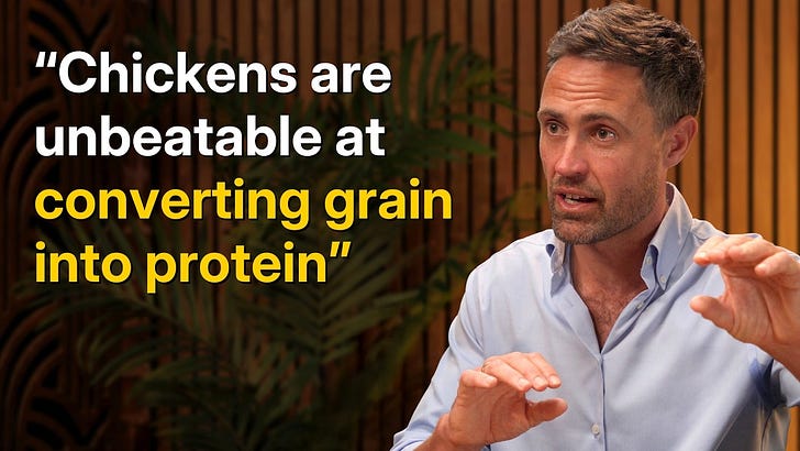 The surprising economics of the meat industry – Lewis Bollard