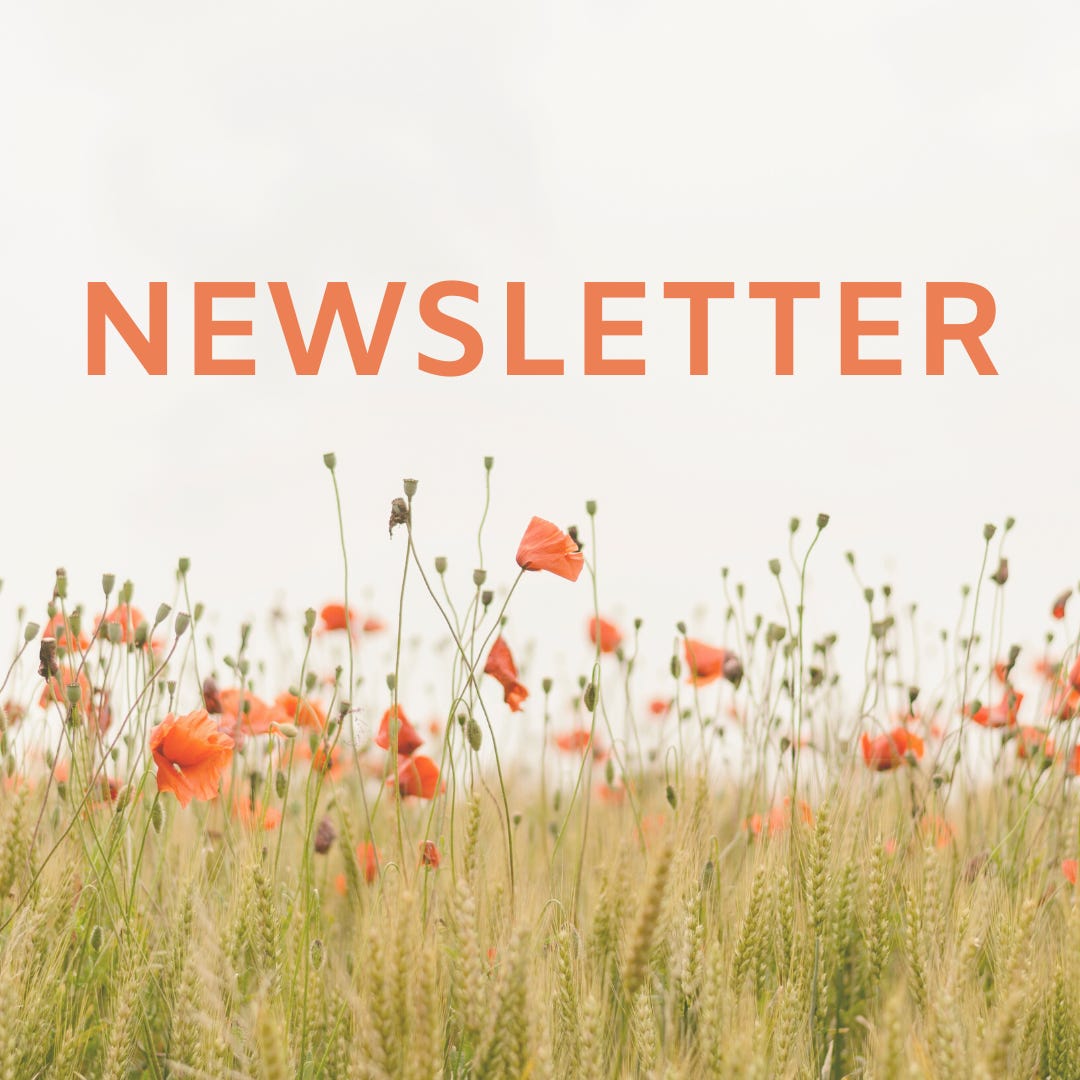 La Newsletter educata
