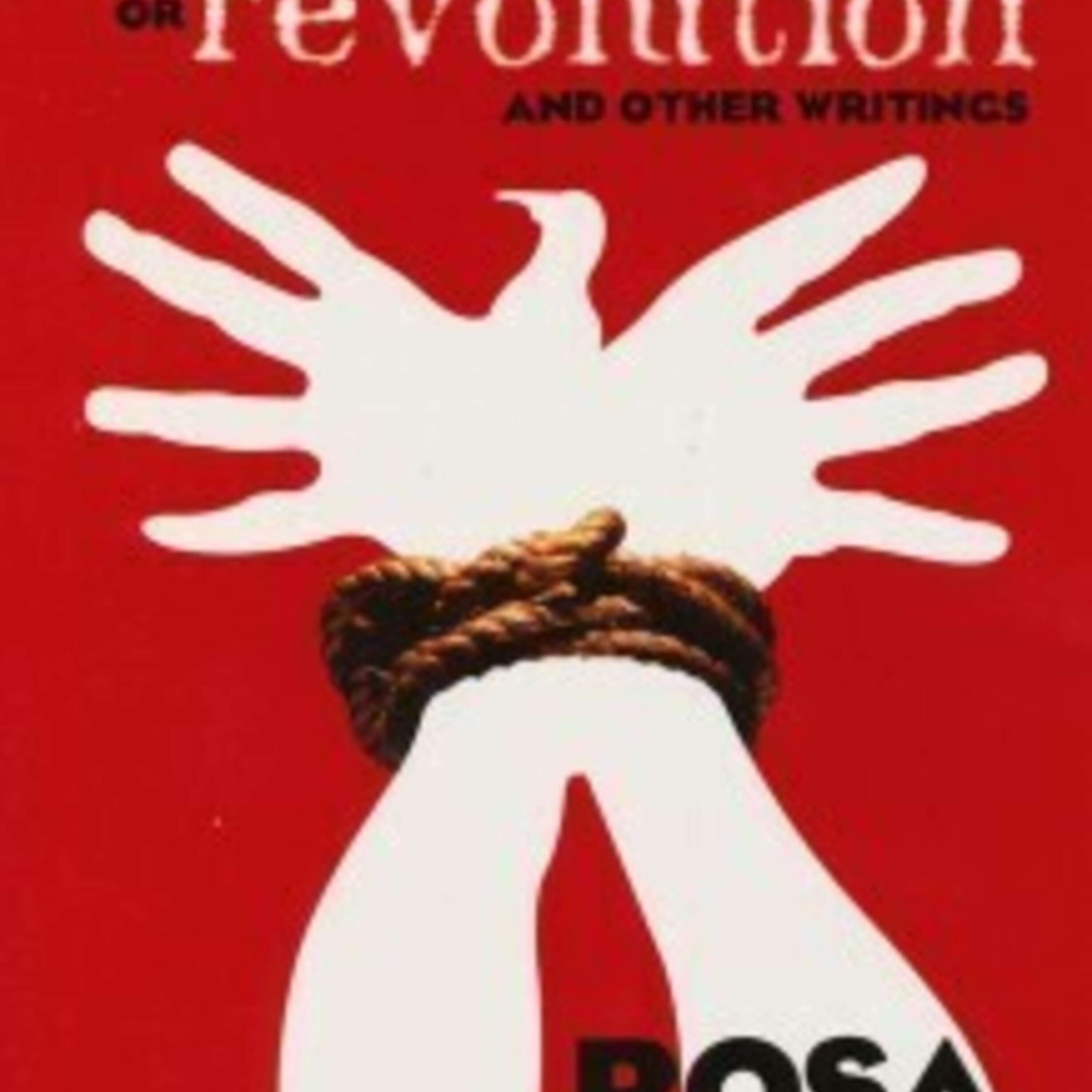 Reform or Revolution; Rosa Luxemburg