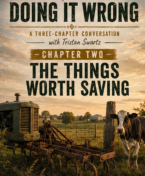 Chapter 2, Doing It Wrong: The Things Worth Saving episode artwork