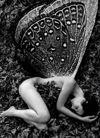 Dear Human Child - BECOME INSTEAD THE WILLOW