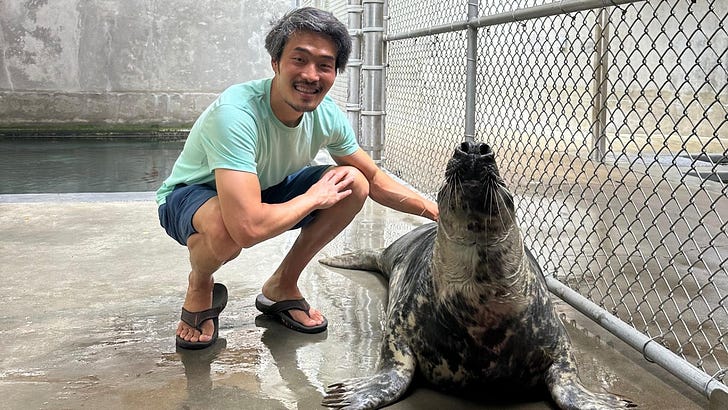 Interview with David Kim a.k.a. Scuttleblurb (2026) 📈📉📊💰💸