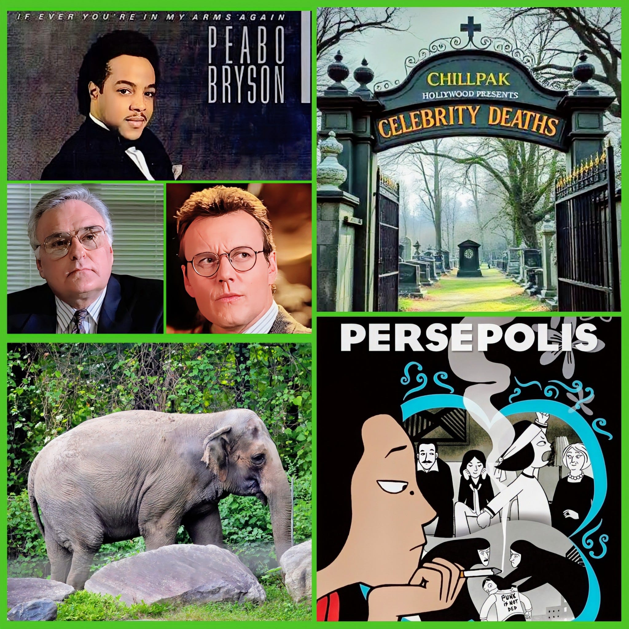 Celebrity Deaths episode artwork
